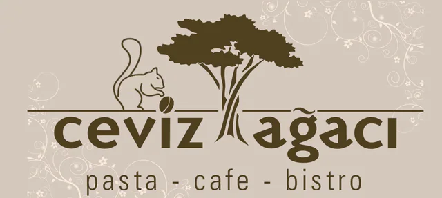 Image29 logosu