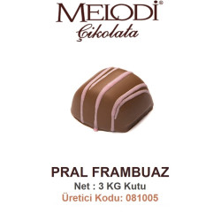 Mld Artizan Pral Frambuazlı 3 kg