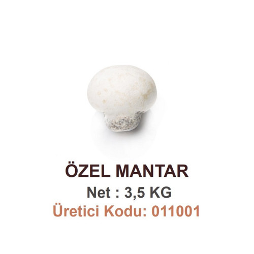 Mld Özel Mantar 3,5 kg